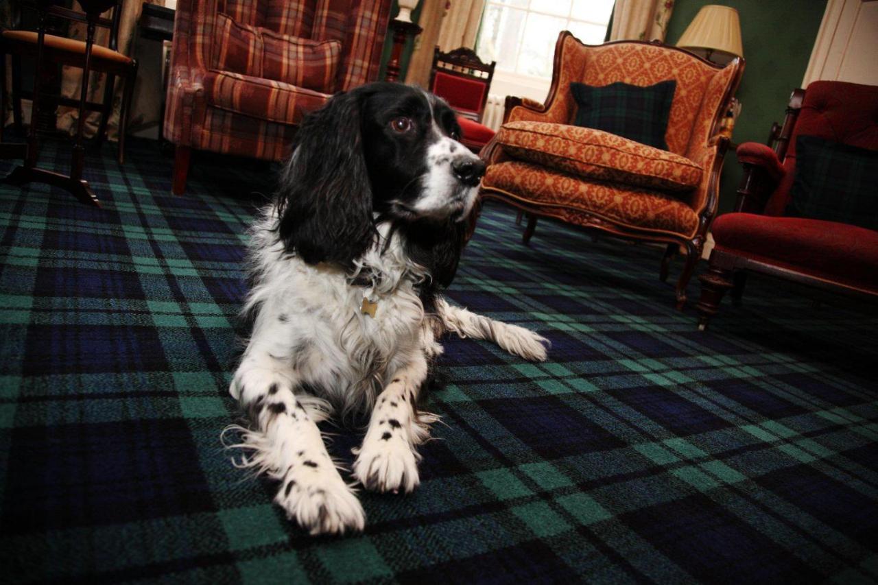 Durn House Hotel Portsoy Eksteriør billede